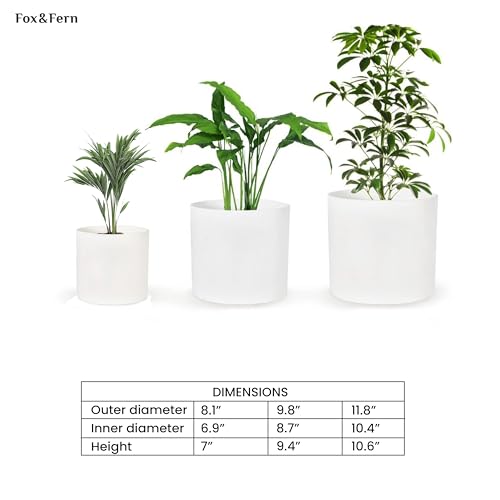 Fox & Fern Matte White Plant Pots with Drainage Plug (Set of 3) — Premium Lightweight Fiberstone 8, 10, and 12 Inch Planters for Indoor and Outdoor Use - Weather Resistant & UV Resistant by Fox & Fern - Image 7