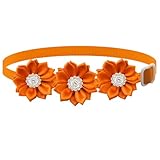 Nvzi Paquete de 2 collares ajustables de flores para mascotas, accesorios de fiesta para San Valentín, boda, fiesta de cumpleaños, adornos para cachorros
