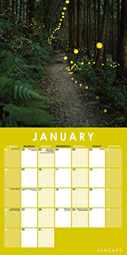 2023 Pathways Square Hanging Wall Calendar - No Plastic - 12" X 12" Planner, Organizer, Home, Family, Schedule, Agenda, Gift #TOP2