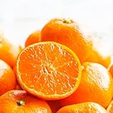 みかん 和歌山県産 赤秀 選別済 Mサイズ 3キロ