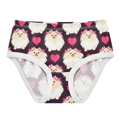 Girls' Panties Cute Dog Heart Underwear for Girls Toddler Kids 3T 2302197