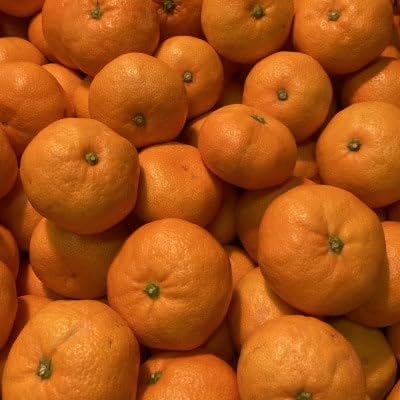 (ご家庭用)横ちゃんちの早生みかん 約5kg(C84-3)