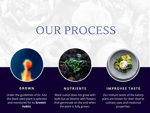 Sweet Sunnah Black Seed Ground (Kalonji, Nigella Sativa, Black Cumin) 1Lb Pound All Natural Raw Spice - Non Gmo - Indian Origin -Gluten Free Ingredients #TOP4