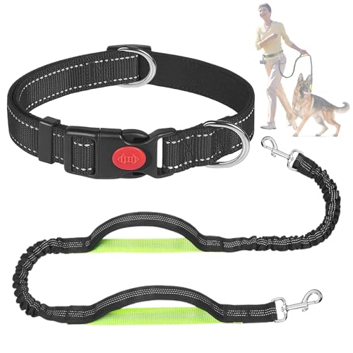 RONO Joggingleine Mit Taillengurt - Verstellbare Hundeleine 155-250cm