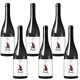 SUPER OFFERTA Confezione 6 bottiglie | Vino ETNA DOC Sicilia | Cantina Montenero | Selezione Vini dell'Etna (Rosso Etna Doc)
