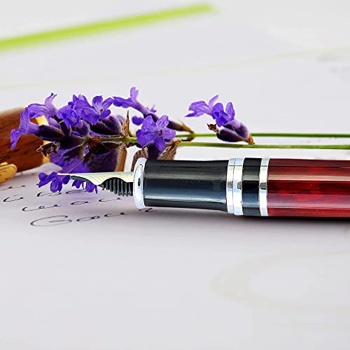 Fountain Pen Revolution Fpr Ambassador Burgundy Fountain Pen W/Ultra Flex Nib - Luxury Pen Set Includes Bottle Filling Converter & 2 Long Cartridges #TOP5