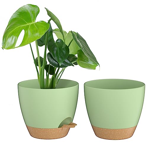ZMTECH 20 cm Pflanztöpfe Mit Bewässerungslippe - Selbstbewässernd Mit Abflusslöchern und Herausnehmbarem Untersetzer - Kunststoff für Innen- und Außenbereich (Grün, 2er-Set)