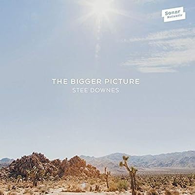 The Bigger Picture