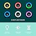 LittleHippo Mella: Kids Alarm Clock, Ready to Rise Children's Sleep Trainer, Night Light, Sound Machine and OK to Wake for Toddlers and Kids - Tropical Teal (Updated 2025)