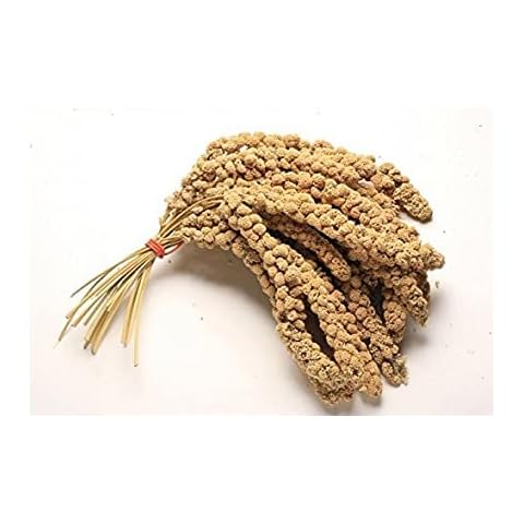 VIONIA® Millet Spray x10 Sprays | Millet Spray For Birds | Cage and Aviary Food PREMIUM MILLET SPRAY HANGING CAGE BIRD TREAT BUDGIE CANARIES COCKATIELS 10 Sprays Cover