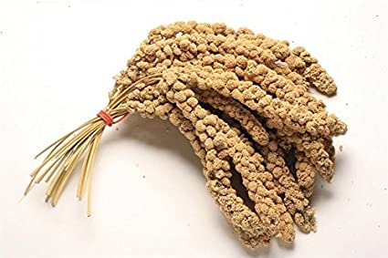 VIONIA® Millet Spray 10-Pack | Premium Bird Treat for Cage and Aviary | Hanging Treat for Budgie, Canaries, Cockatiels