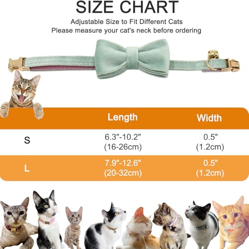 Personalisiertes Katzenhalsband mit Namensschild, verstellbares Samt Katzenhalsband mit Glocke, Haustier Halsband mit Name Telefonnummer Gravierte ID Tags (Cream)