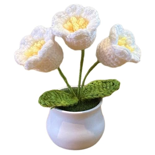 j҂݂̉Ԃ̔AA~jjbgẢԂ̔AMtgA킢jbg̉Ԃ̏Âj҂݂̎Ԃ̃Z^[R\[̑AfXN̉Ԃ̐ȂAԃ|bg҂݂̉ԃ|bg