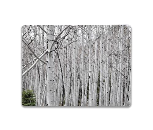 Image of MightySkins Carbon Fiber Skin Compatible with Microsoft Surface Laptop Go 3 (2023) Full Wrap Kit - Birch Forest | Protective, Durable Textured Carbon Fiber Finish | Made in The USA
