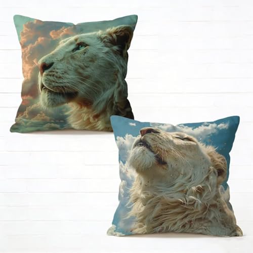 �N�b�V�����J�o�[ 55x55 cm 2���Z�b�g �� ���z�c�J�o�[ 55 x 55 �\�t�@�[ �N�b�V���� ���� �l�C ���O �N�b�V���� ���C�I�� �������J�o�[ HD���ʈ�� ���_�� �B���t�@�X�i�[�t���C�t�ăR���N�V���� �K�p�Ώ� �ƒ� �I�t�B�X �֎q �ԓ� 
