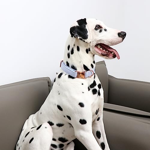 Unique Style Paws Hundehalsband Halsband Verstellbare Halsbänder oder Hundeleinen für Hunde und Katzen Klein Mittelgroß Groß