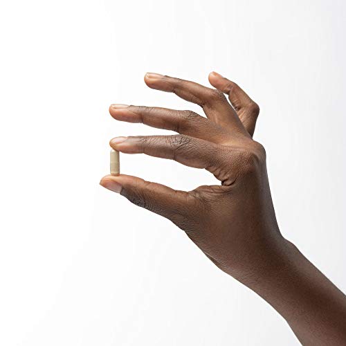 Dr. Mercola Serrapeptase Enzymes, 60 Servings (60 Capsules), Supports Overall Immune Health*, Non Gmo, Soy Free, Gluten Free #TOP4