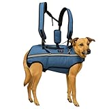 CANISPHERE Tragehilfe Hund Groß (4XL, bis 40 kg) - Hundetrage für große Hunde - Ergonomische Hundetragetasche - Tragerucksack Hund - Treppenhilfe & Notfallhilfe für ältere Hunde
