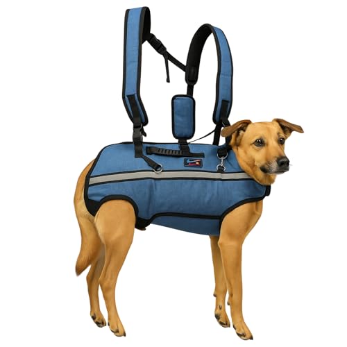 Canisphere Hund Groß Bild