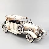 ★ Hochwertige Materialien: Hergestellt aus hochwertigen Weißblechmaterialien, stark und langlebig. Verschleißfest, korrosionsbeständig, nicht leicht zu beschädigen und lange verwendbar.