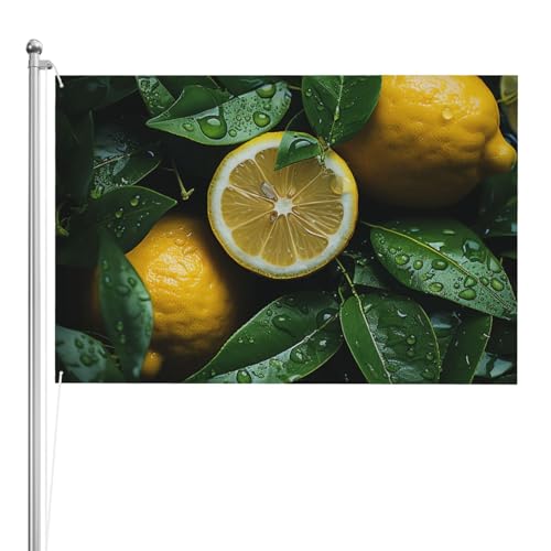 Grand drapeau pour cour au motif accueillant pour créer une ambiance estivale chaleureuse