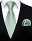 HISDERN Krawatte Herren Salbei Grün Hochzeit Klassische Krawatte mit Einstecktuch Set Formal Elegante Taschentuch Business Party