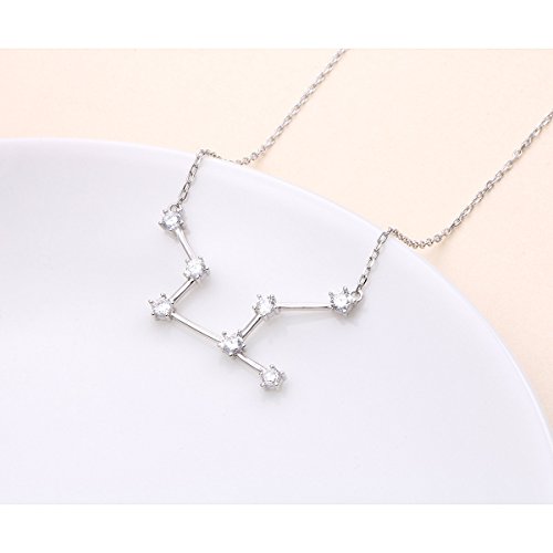925 Sterling Silver CZ Astrology 12 Constellation Horoscope Sign Astrology Zodiac Star Necklace Birthday Jewelry for Women,18-20 inch4