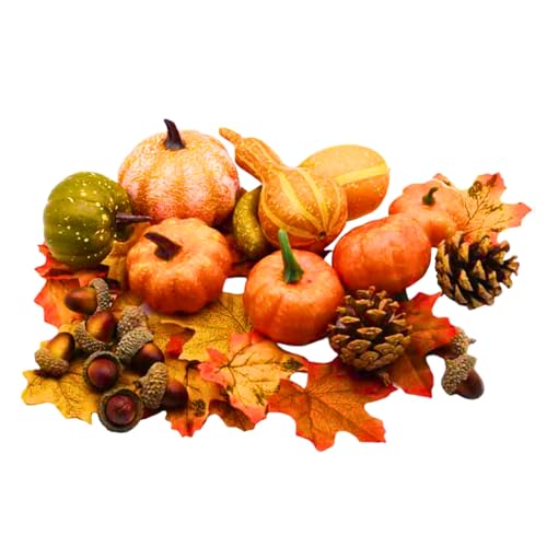 nEB CeA fR[V 50Zbg ڂ ڂ ؂̎ t   IuWF Cxg Xܑ p[eB[ qǂ wZ [ PompatieIWiJ[ht ]