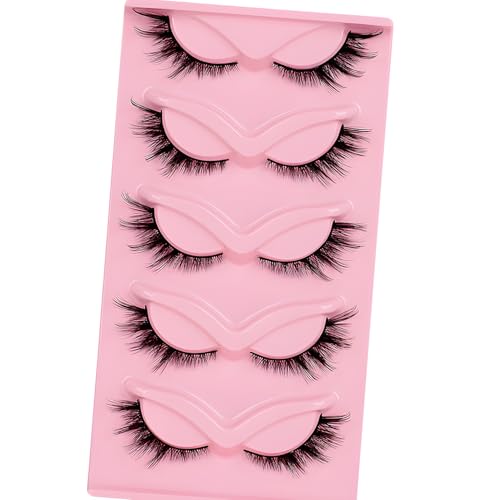 WALWAL tHbNX܂ ? RȃJ[3D{[tFCN~N܂ALڃCNɂ҂Iӂy₩Ŗ͓IitHbNXX^CBE5yAj