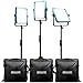 Dracast Plus Series LED1000 Daylight LED 3 Light Kit with V-Mount and Gold Mount Battery Plates and Light Stands