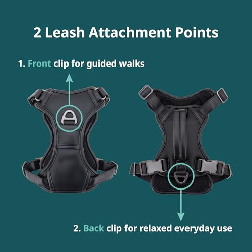 CANAGAN Vegan Leather Dog Vest Harness for Large Dogs,Heavy Duty Design,Cruelty-Free,No Pull,Handle & Dual Leash Clips,Adjustable Vest – Black - Image 3