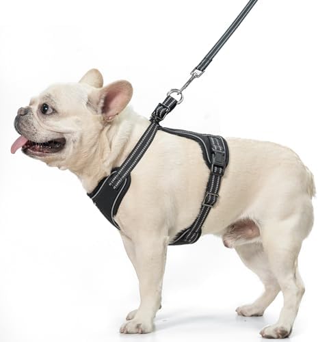PUPTECK Dog Harness and Leash Set for Small Medium Sized Dogs, No Pull Training Dog Vest Harness, Adjustable Reflective Dog Soft Padded Vest, Black, M