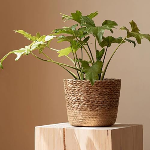 Generisch Maceta Trenzada, sobremaceta de 40 cm de diámetro, cesta de plantación, maceta de trenzado de paja, maceta de ratán y mimbre, cesta de almacenamiento hecha a mano (M)