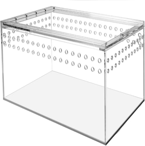 テラリウム透明アクリルケージ、小型ヘビやその他の爬虫類、小動物、昆虫ボックス、ヤモリ、両生類、トカゲ、カエル、サバケージ隔離ボックスに適しています (小型透明ペットボックス)