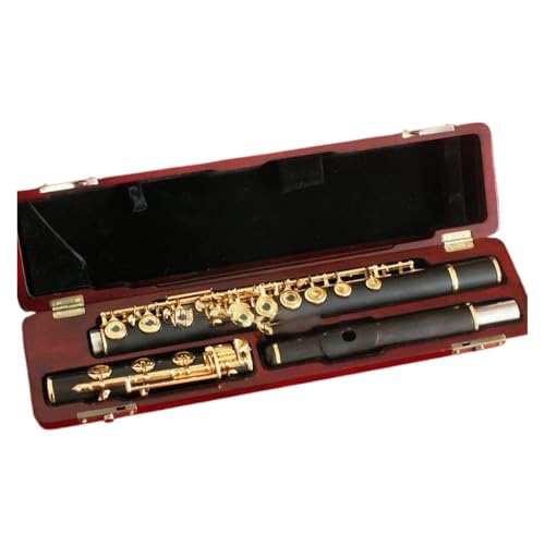 ht[g B bLL[ 17 ؐP[X