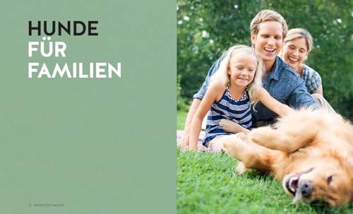 Finde den Hund, der zu dir passt: Sportskanone, Familienhund oder Sofapartner – Der ideale Begleiter für deinen Alltag. Mit den 30 beliebtesten Hunderassen (GU Mensch-Hund-Beziehung)