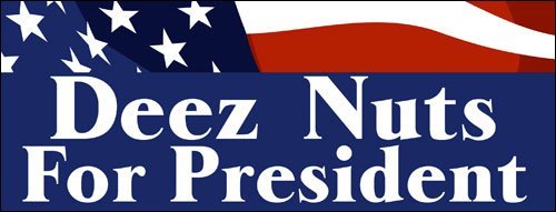 LPF USA Deez Nuts for President Patriotic Bumper Sticker (Funny Political Election Decal)