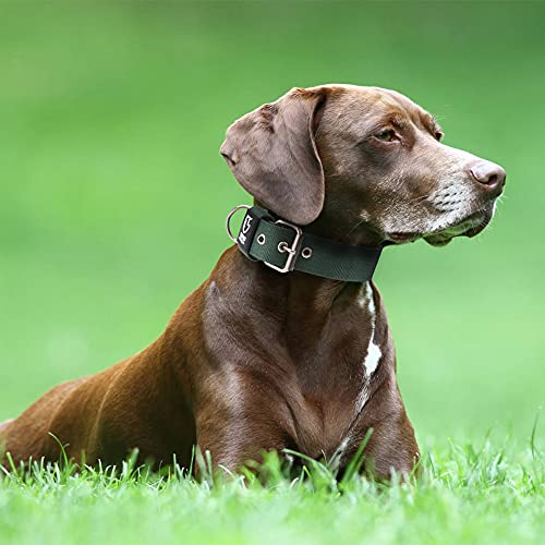 TSPRO Taktisches Hundehalsband, Robustes Halsband für Hunde mit Metallschnallenverschluss, 3,3 cm Breit, Verstellbar und Dick für Kleine Hunde (Grün S)