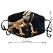 SESLFLKPJK Women Men Soft Face Mask Fashion Scarf Dust Proof Windproof Mouth Covering, Cool Bearded Dragon Lizards Animal Black Facial Shield for Outdoors Home And Daily Use