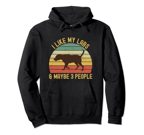 Chocolate Lab Labrador para mamá papá niños I Like My Labradors Sudadera con Capucha