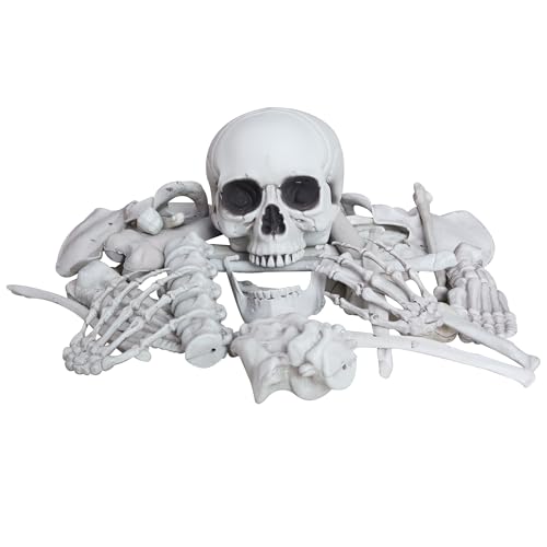 IDMOP 28 Pieces Skeleton Bones with Skull Bag of Plastic Bones Scary Groundbreakers for Halloween Yard Lawn Decoration (Gray)