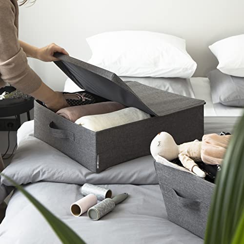 Caja de almacenaje grande Bigso Box para debajo de la cama en gris 6