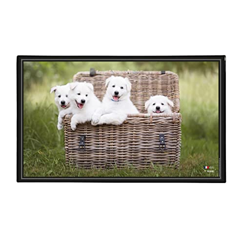 Viquel Schreibtischunterlage Motiv Hund - Schreibtischunterlage -...