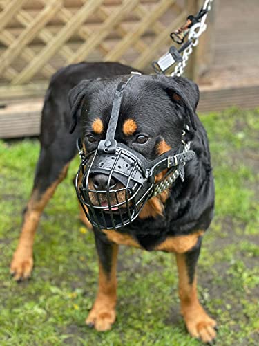 Starker Maulkorb aus Drahtmetall für Hunde, Rottweiler, Mastiff, Golden Retriever und andere (TR, schwarz/schwarzes Leder)