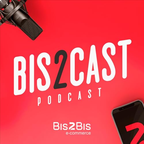 Bis2Cast E-commerce Titelbild