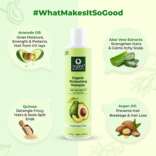 Organic Harvest Moisturising Shampoo with Avocado Oil & Aloe Vera Extract for Curly Hair | Ideal for Both Men & Women | 100% Organic, Sulphate And Paraben Free - 250 ml 2 41wW5DFzUXL. SL500