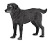 Papo 54013 Dog Companions Figure Cassis Lap Dog