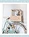 DIY Projects for Cats & Dogs: 20 Easy-to-Build Creations for Your Best Friend (CompanionHouse Books) Beginner-Friendly, Step-by-Step Directions for Pet Beds, Doghouses, Scratching Posts, and More