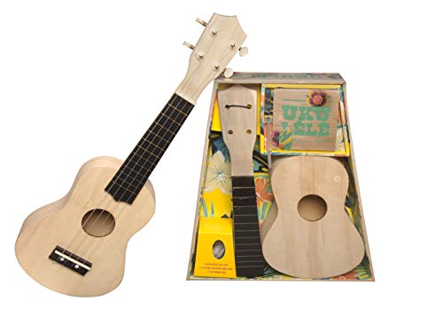 Coffret ukulélé une idée cadeau originale pour les passionnés