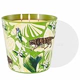 Verbena & Fig Leaf Scented Candle, 30oz Large 3 Wick Soy...